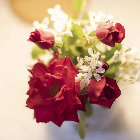 Apartment 1 By Interhome