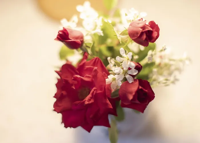 Appartement 1 By Interhome